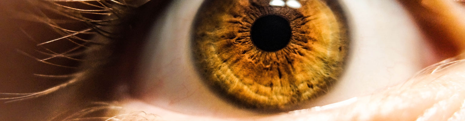 Eden Optometrists Knysna: care for medical eye conditions that do not require specialist care or prescription medication, e.g. dry eye and vision suppirt supplements.  Credit Kalea Jerielle via Unsplash.
