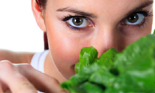 At Eden Optometrists Knysna you can obtain guidance about nutrition for healthy eyes and vision, as well as supplement especially formulated to support mac degeneration, like Vitasight.